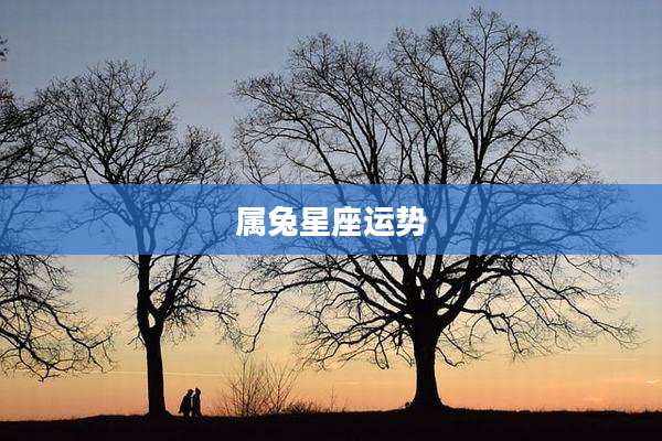 属兔星座运势