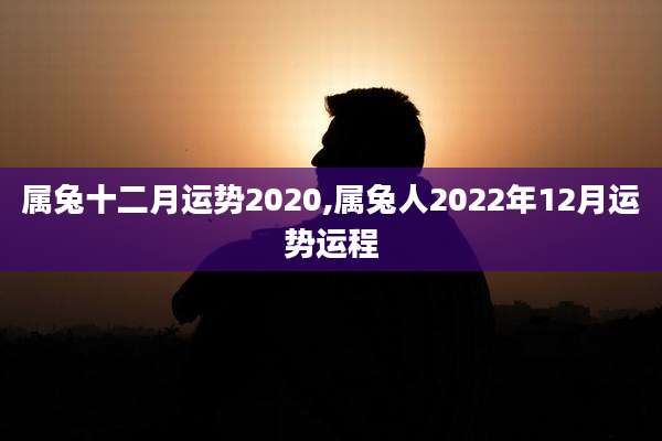 属兔十二月运势2020,属兔人2022年12月运势运程
