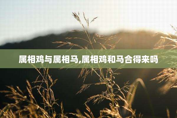 属相鸡与属相马,属相鸡和马合得来吗