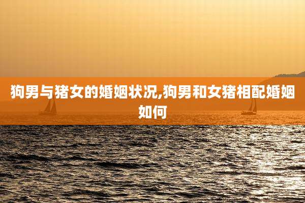 狗男与猪女的婚姻状况,狗男和女猪相配婚姻如何