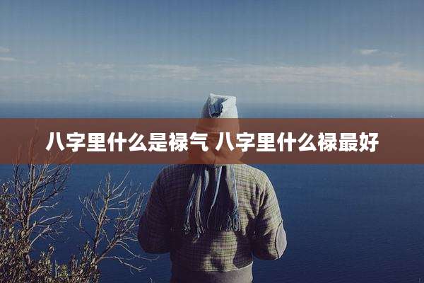 八字里什么是禄气 八字里什么禄最好