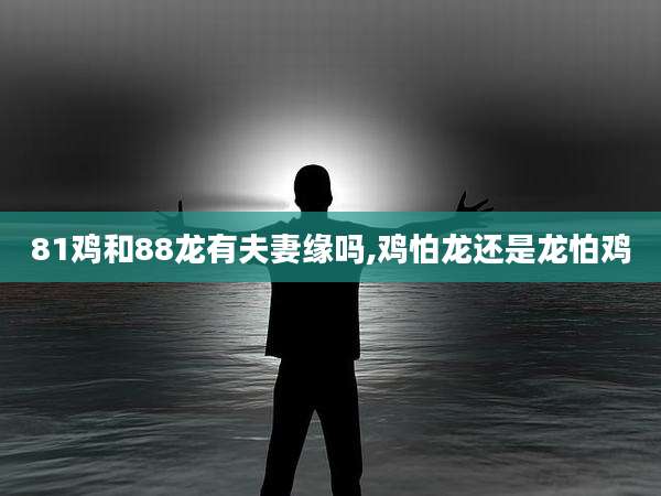 81鸡和88龙有夫妻缘吗,鸡怕龙还是龙怕鸡