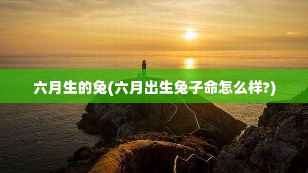 六月生的兔(六月出生兔子命怎么样?)