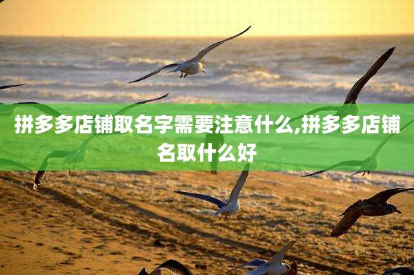 拼多多店铺取名字需要注意什么,拼多多店铺名取什么好
