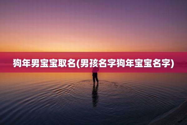 狗年男宝宝取名(男孩名字狗年宝宝名字)