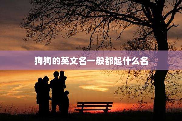 狗狗的英文名一般都起什么名