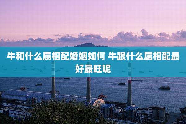 牛和什么属相配婚姻如何 牛跟什么属相配最好最旺呢