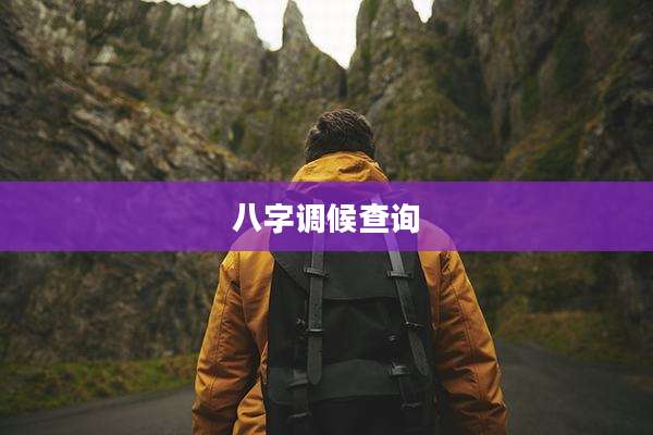 八字调候查询