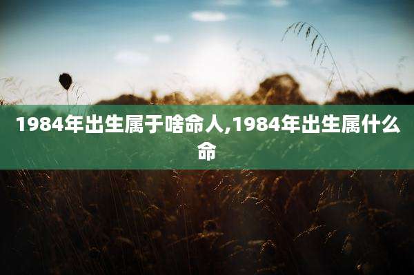 1984年出生属于啥命人,1984年出生属什么命
