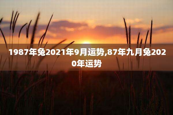 1987年兔2021年9月运势,87年九月兔2020年运势