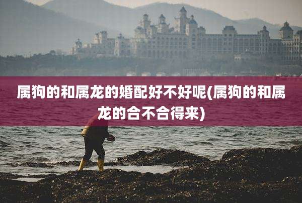 属狗的和属龙的婚配好不好呢(属狗的和属龙的合不合得来)