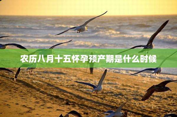 农历八月十五怀孕预产期是什么时候
