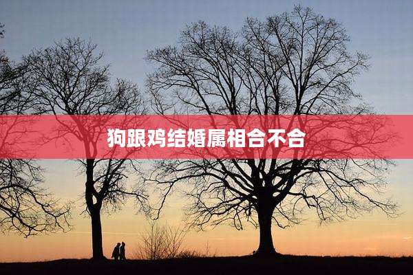 狗跟鸡结婚属相合不合