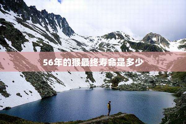 56年的猴最终寿命是多少