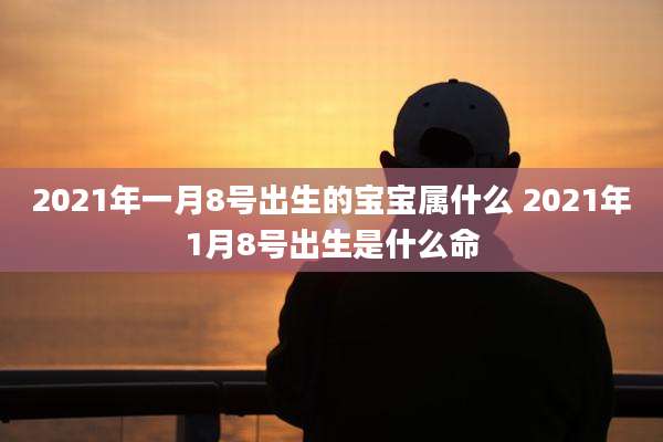 2021年一月8号出生的宝宝属什么 2021年1月8号出生是什么命