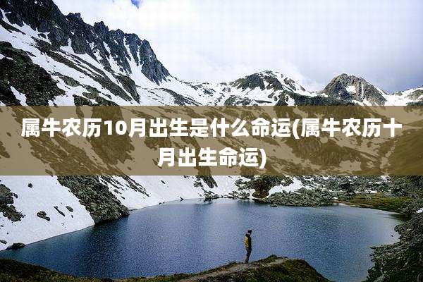 属牛农历10月出生是什么命运(属牛农历十月出生命运)