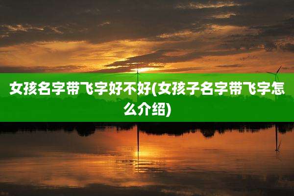 女孩名字带飞字好不好(女孩子名字带飞字怎么介绍)