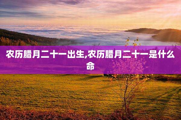 农历腊月二十一出生,农历腊月二十一是什么命