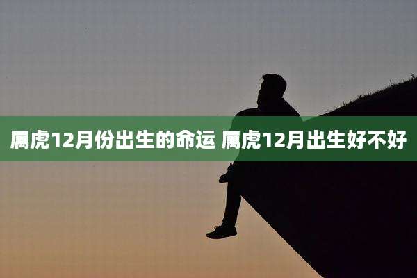 属虎12月份出生的命运 属虎12月出生好不好