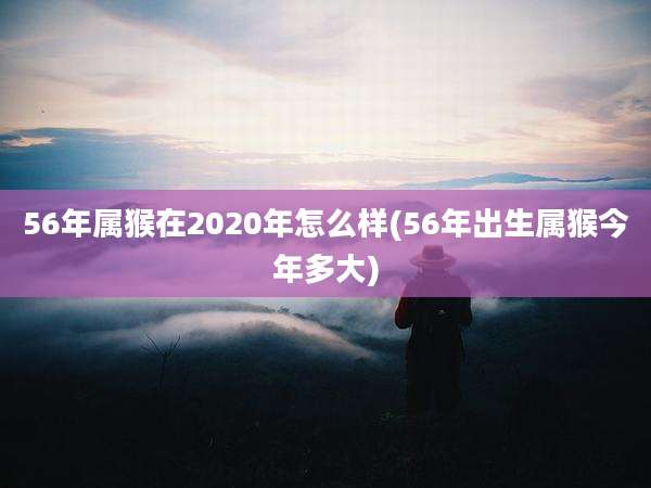 56年属猴在2020年怎么样(56年出生属猴今年多大)