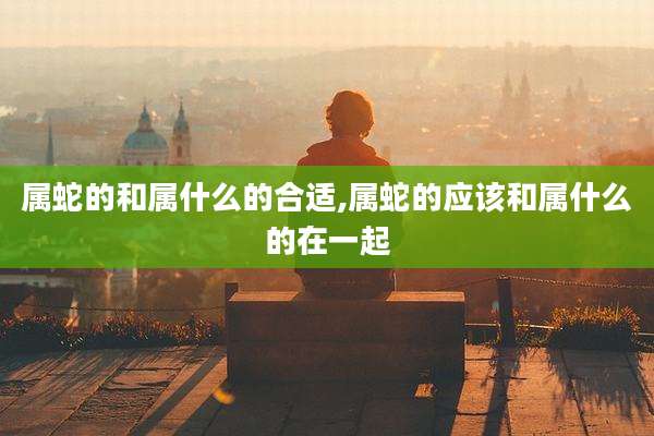 属蛇的和属什么的合适,属蛇的应该和属什么的在一起