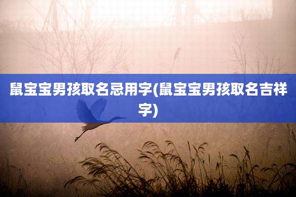 鼠宝宝男孩取名忌用字(鼠宝宝男孩取名吉祥字)