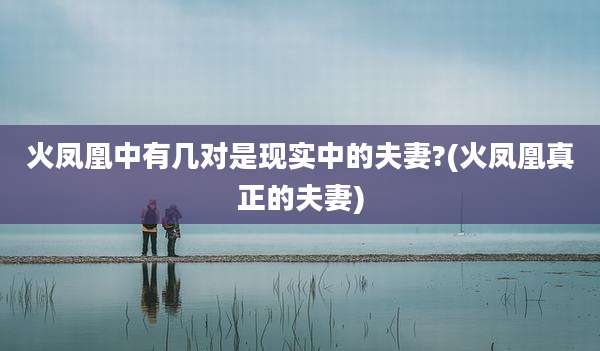 火凤凰中有几对是现实中的夫妻?(火凤凰真正的夫妻)
