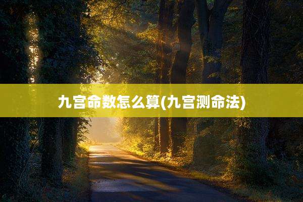 九宫命数怎么算(九宫测命法)