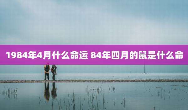 1984年4月什么命运 84年四月的鼠是什么命