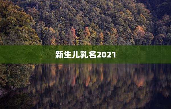 新生儿乳名2021