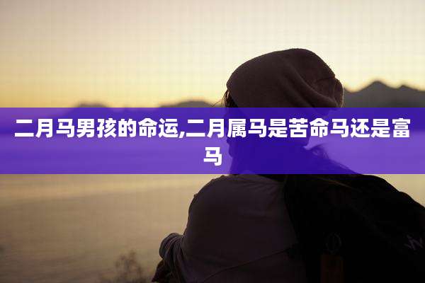 二月马男孩的命运,二月属马是苦命马还是富马