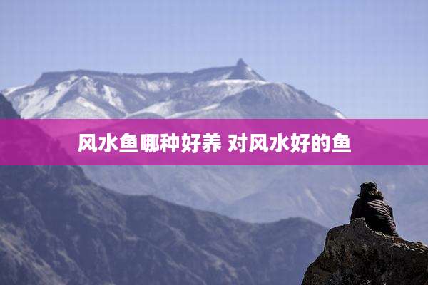 风水鱼哪种好养 对风水好的鱼