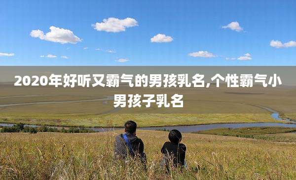 2020年好听又霸气的男孩乳名,个性霸气小男孩子乳名