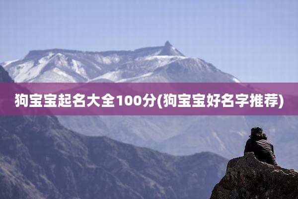狗宝宝起名大全100分(狗宝宝好名字推荐)