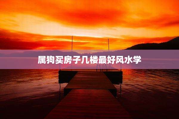 属狗买房子几楼最好风水学