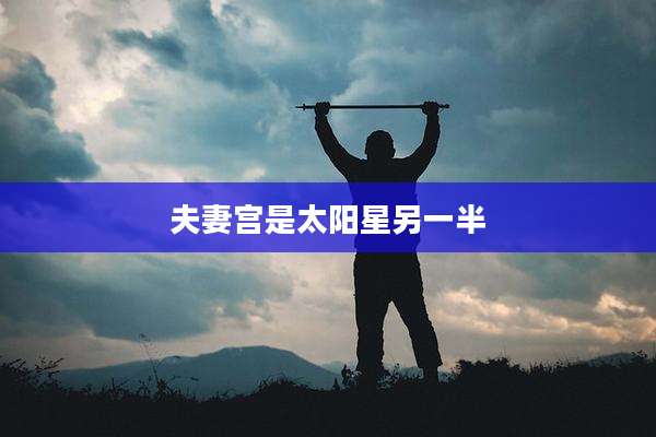 夫妻宫是太阳星另一半
