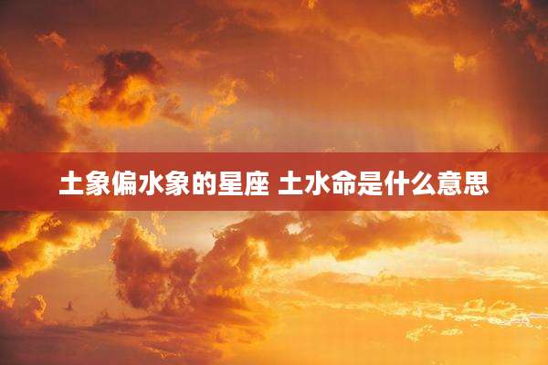 土象偏水象的星座 土水命是什么意思