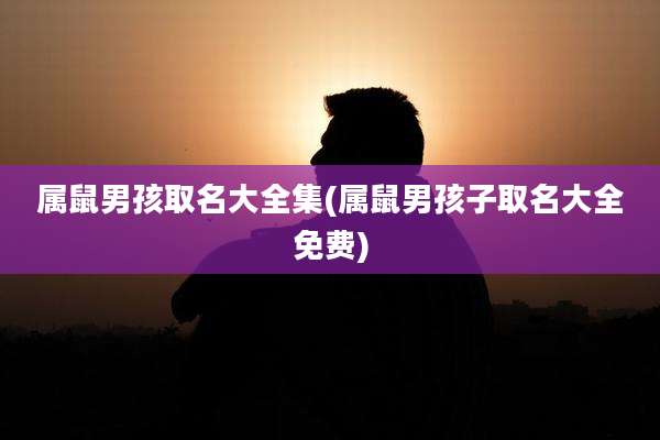 属鼠男孩取名大全集(属鼠男孩子取名大全免费)