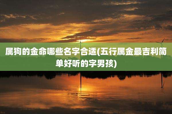 属狗的金命哪些名字合适(五行属金最吉利简单好听的字男孩)