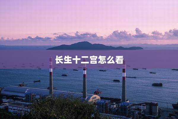 长生十二宫怎么看