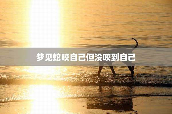梦见蛇咬自己但没咬到自己