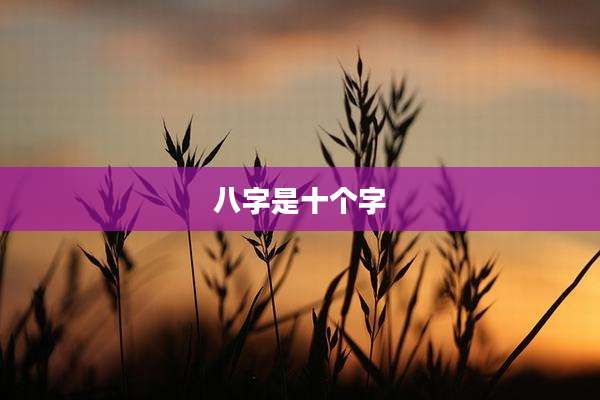 八字是十个字