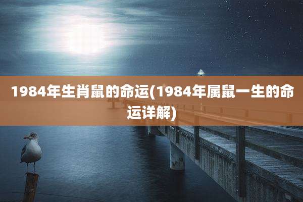 1984年生肖鼠的命运(1984年属鼠一生的命运详解)