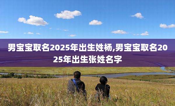 男宝宝取名2025年出生姓杨,男宝宝取名2025年出生张姓名字