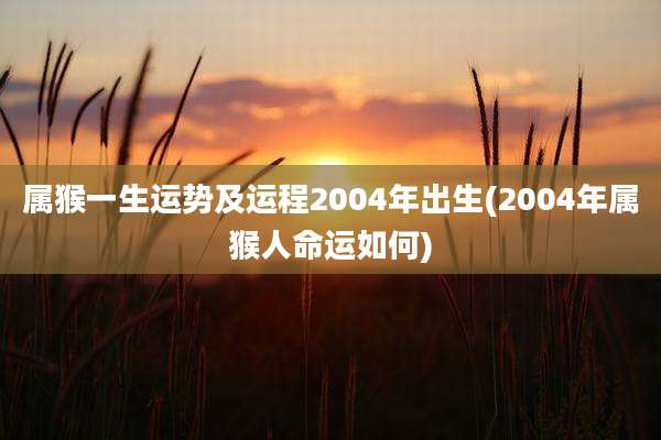 属猴一生运势及运程2004年出生(2004年属猴人命运如何)
