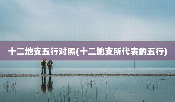 十二地支五行对照(十二地支所代表的五行)