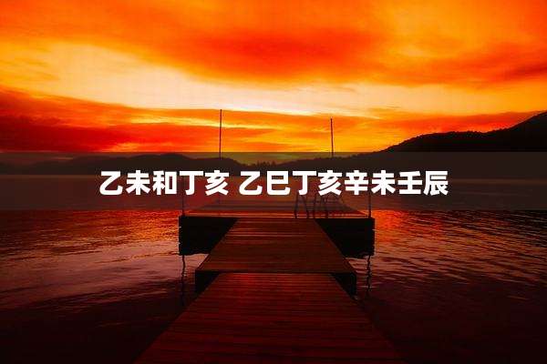 乙未和丁亥 乙巳丁亥辛未壬辰