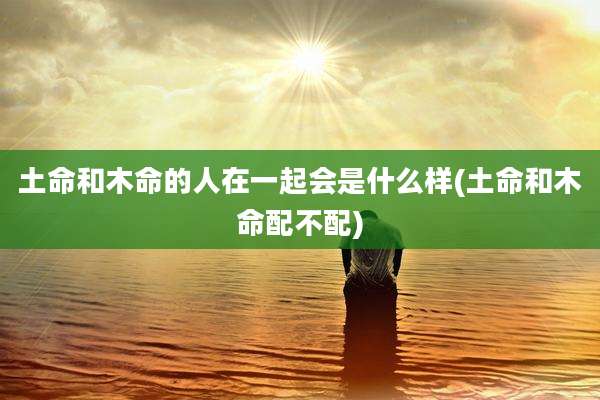 土命和木命的人在一起会是什么样(土命和木命配不配)