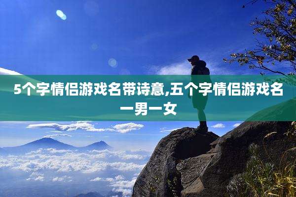 5个字情侣游戏名带诗意,五个字情侣游戏名一男一女