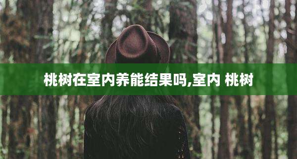 桃树在室内养能结果吗,室内 桃树